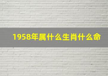 1958年属什么生肖什么命