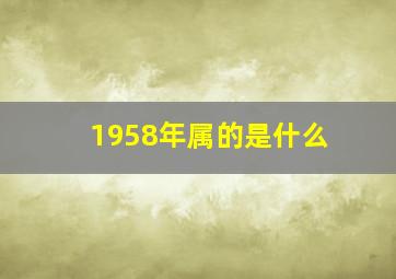 1958年属的是什么