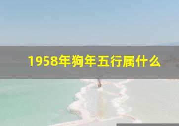 1958年狗年五行属什么