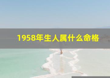 1958年生人属什么命格