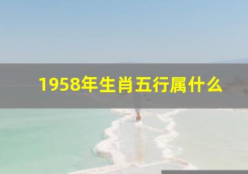 1958年生肖五行属什么