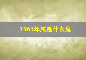 1963年属是什么兔