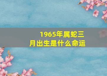 1965年属蛇三月出生是什么命运