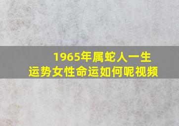 1965年属蛇人一生运势女性命运如何呢视频