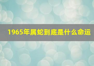 1965年属蛇到底是什么命运