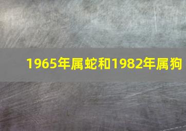 1965年属蛇和1982年属狗