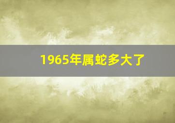 1965年属蛇多大了