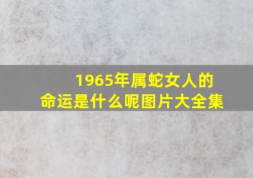 1965年属蛇女人的命运是什么呢图片大全集