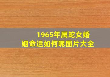 1965年属蛇女婚姻命运如何呢图片大全