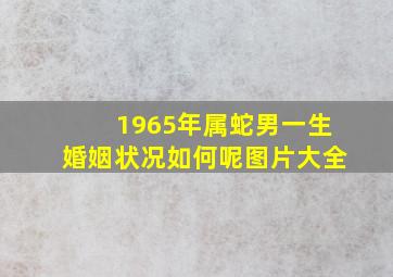 1965年属蛇男一生婚姻状况如何呢图片大全