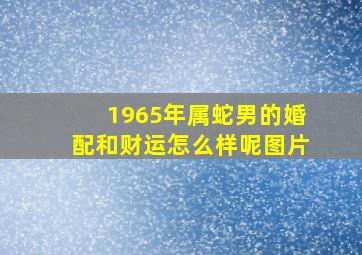 1965年属蛇男的婚配和财运怎么样呢图片