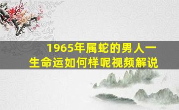 1965年属蛇的男人一生命运如何样呢视频解说