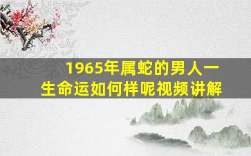 1965年属蛇的男人一生命运如何样呢视频讲解