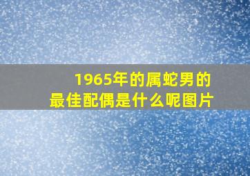 1965年的属蛇男的最佳配偶是什么呢图片