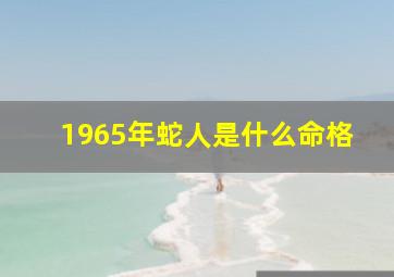 1965年蛇人是什么命格