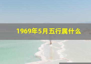 1969年5月五行属什么