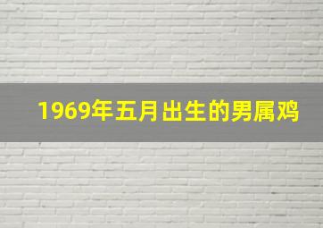 1969年五月出生的男属鸡