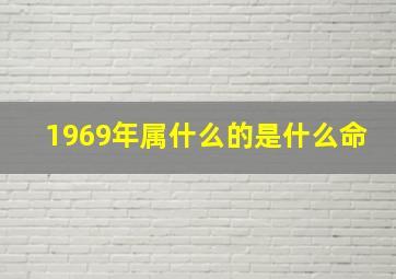 1969年属什么的是什么命