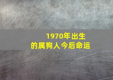 1970年出生的属狗人今后命运