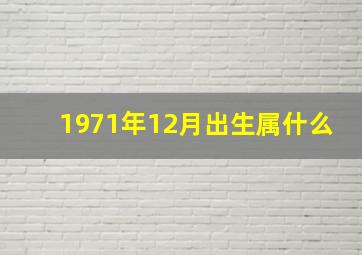 1971年12月出生属什么