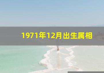 1971年12月出生属相