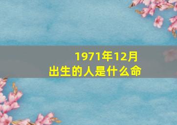 1971年12月出生的人是什么命