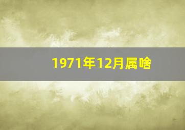 1971年12月属啥