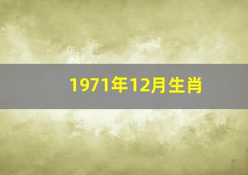 1971年12月生肖