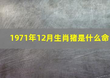 1971年12月生肖猪是什么命