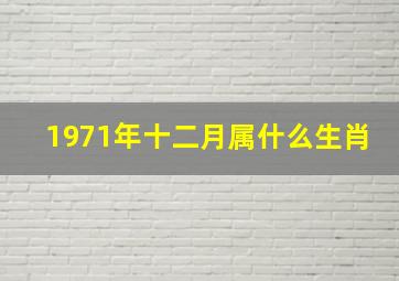 1971年十二月属什么生肖