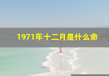 1971年十二月是什么命