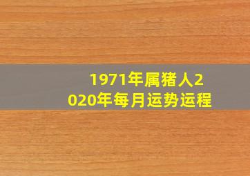 1971年属猪人2020年每月运势运程