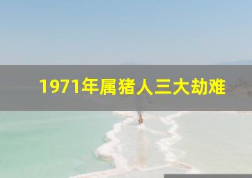 1971年属猪人三大劫难