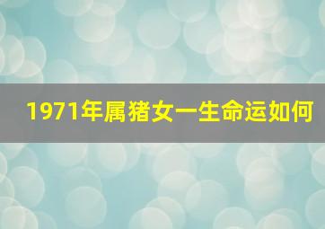 1971年属猪女一生命运如何