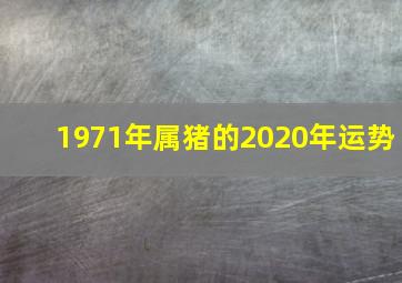 1971年属猪的2020年运势