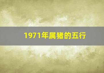 1971年属猪的五行