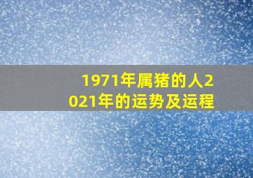 1971年属猪的人2021年的运势及运程