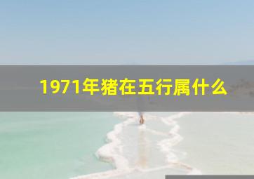 1971年猪在五行属什么