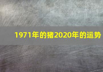 1971年的猪2020年的运势