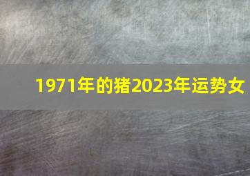 1971年的猪2023年运势女