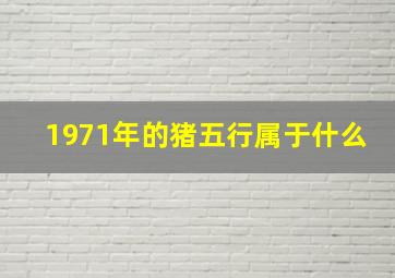 1971年的猪五行属于什么