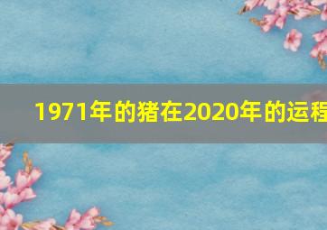 1971年的猪在2020年的运程