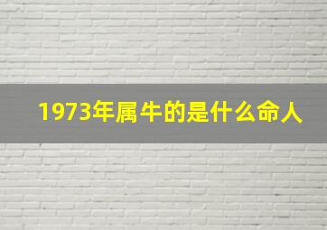 1973年属牛的是什么命人