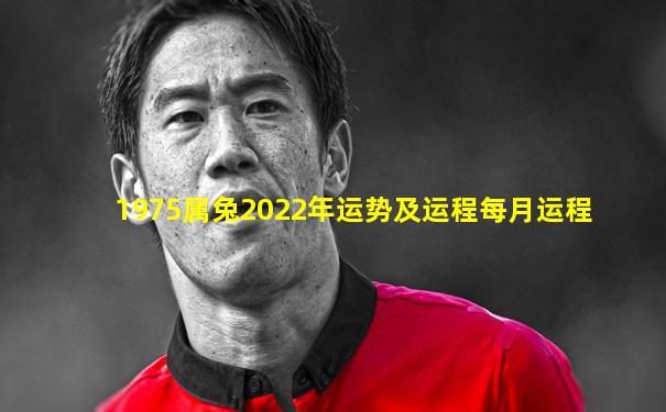 1975属兔2022年运势及运程每月运程