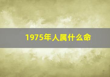 1975年人属什么命