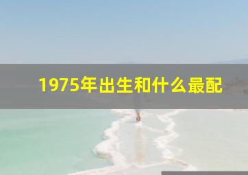 1975年出生和什么最配