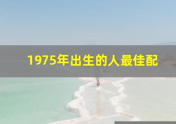 1975年出生的人最佳配