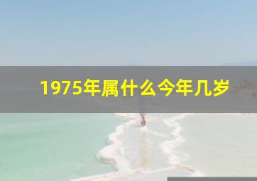 1975年属什么今年几岁