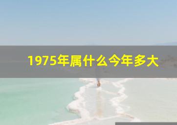 1975年属什么今年多大