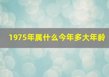 1975年属什么今年多大年龄